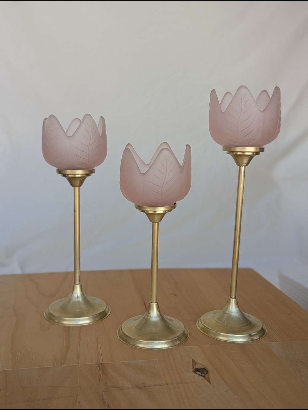 Rose Pink Tulip Glass Candle Holders with Brass Stands